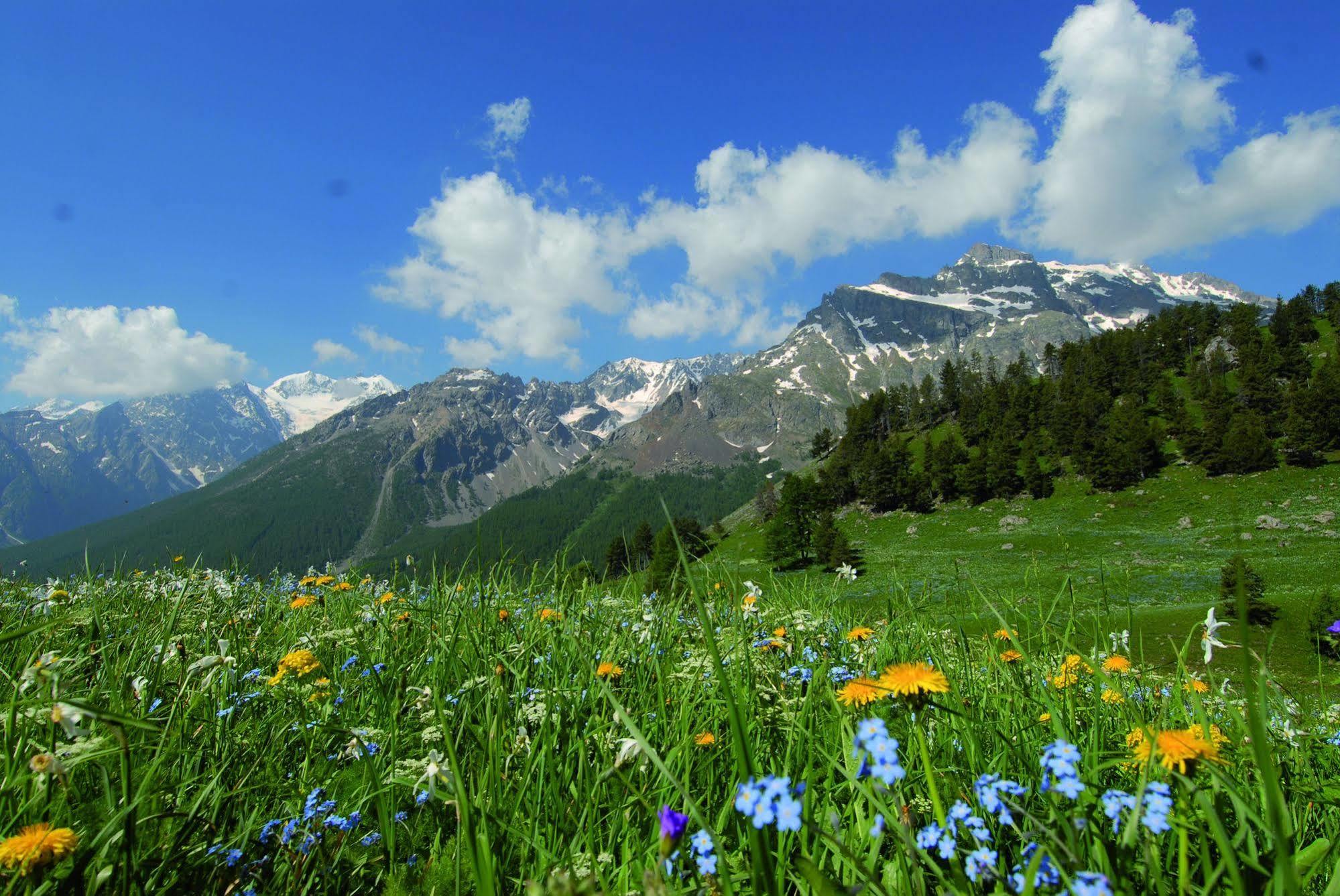 Club Vacances Bleues Les Alpes D'Azur La Salle-les-Alpes Екстериор снимка