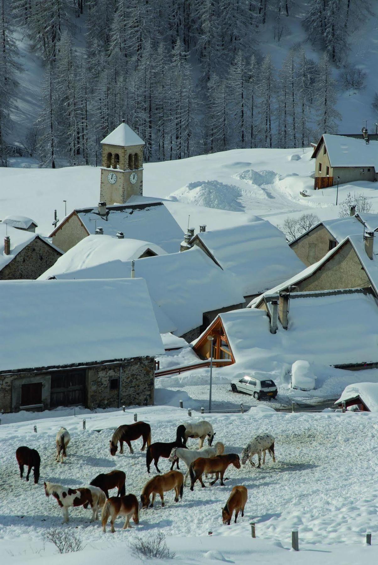 Club Vacances Bleues Les Alpes D'Azur La Salle-les-Alpes Екстериор снимка